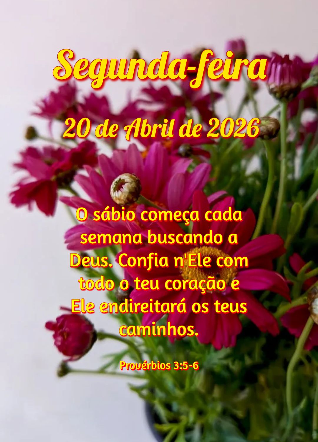 O sábio começa cada semana buscando a Deus. Confia n'Ele com todo o teu coração e Ele endireitará os teus caminhos. Provérbios 3:5-6