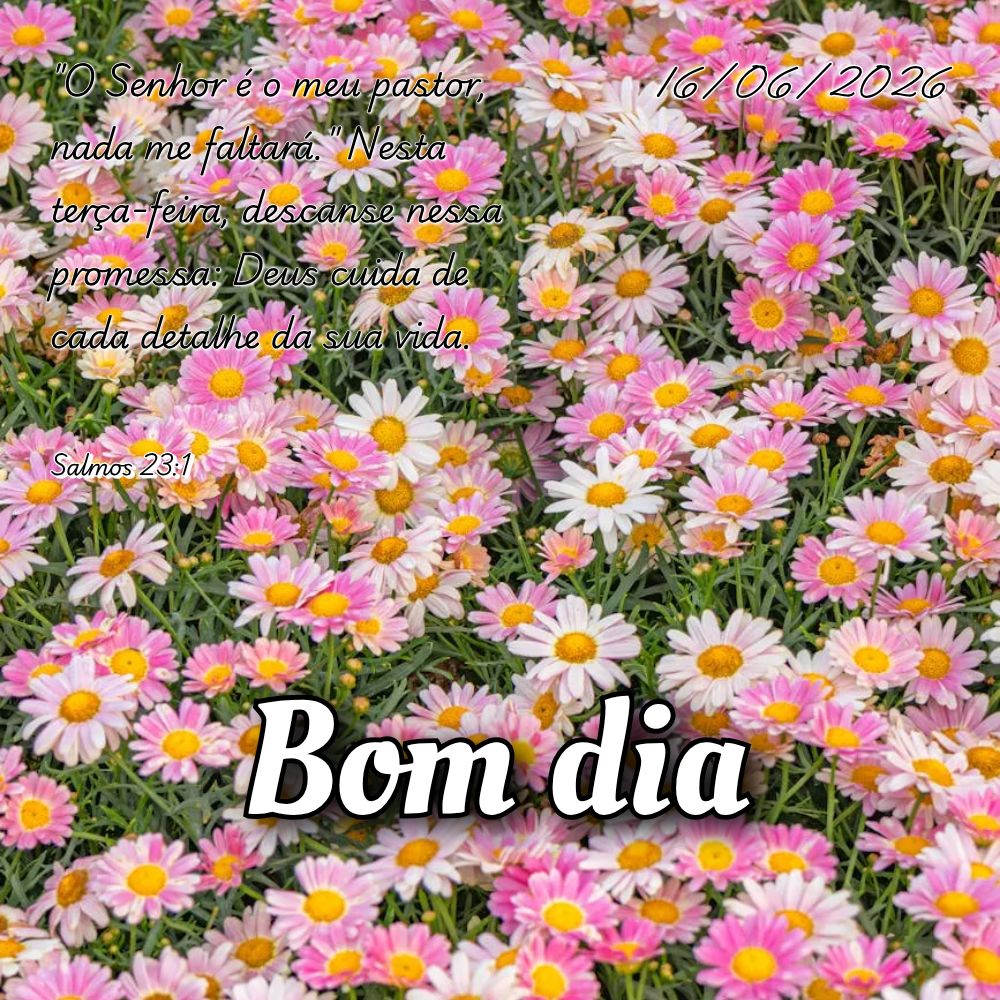 "O Senhor é o meu pastor, nada me faltará." Nesta terça-feira, descanse nessa promessa: Deus cuida de cada detalhe da sua vida. Salmos 23:1