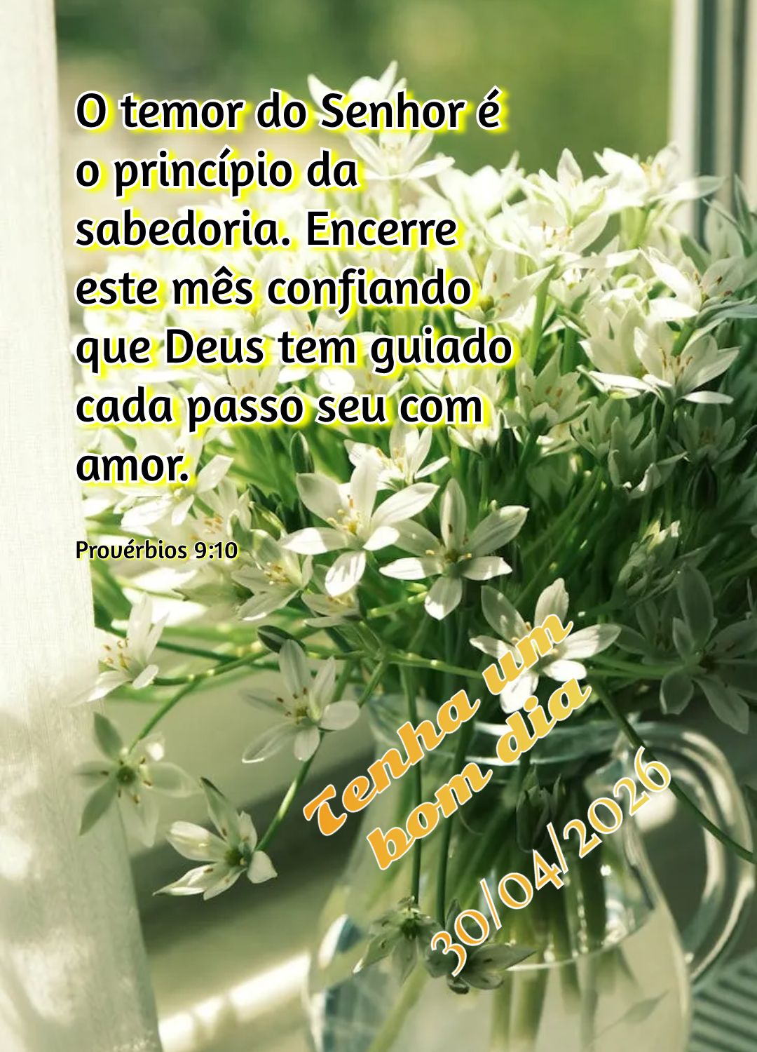O temor do Senhor é o princípio da sabedoria. Encerre este mês confiando que Deus tem guiado cada passo seu com amor. Tenha um bom dia Provérbios 9:1...