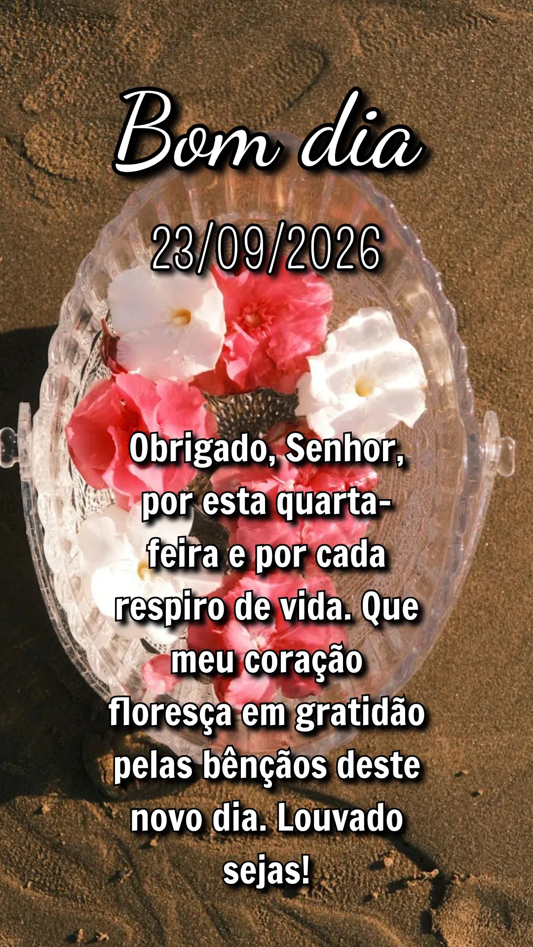 Obrigado, Senhor, por esta quarta-feira e por cada respiro de vida. Que meu coração floresça em gratidão pelas bênçãos deste novo dia. Louvado sej...