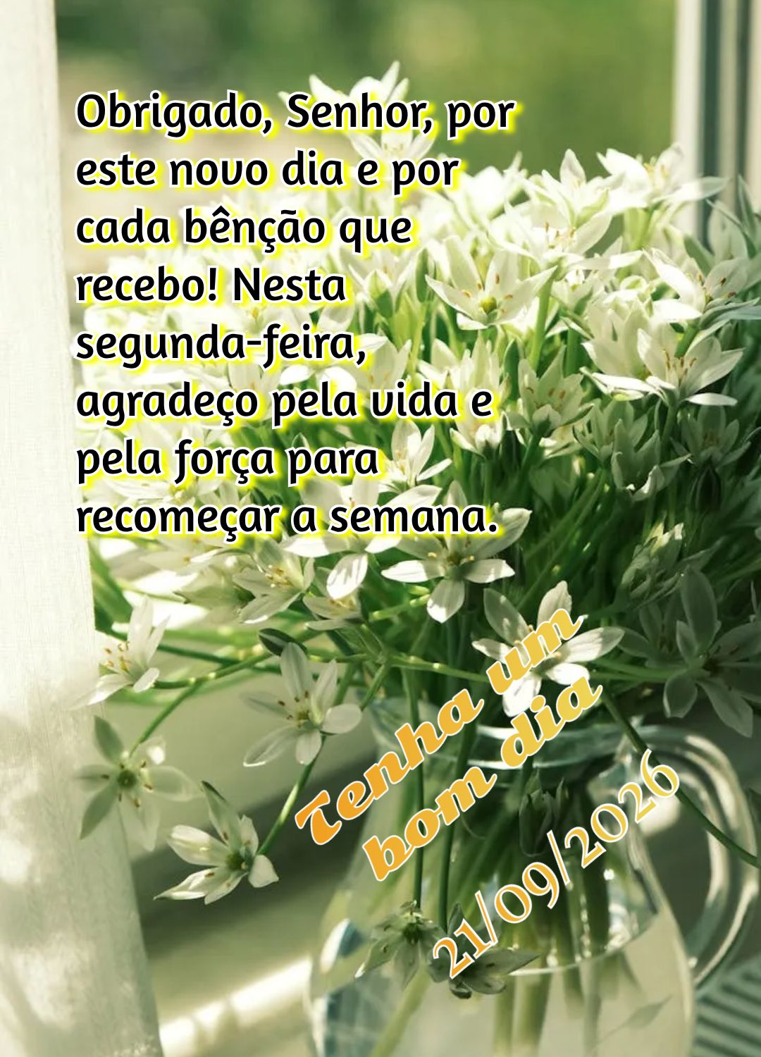 Obrigado, Senhor, por este novo dia e por cada bênção que recebo! Nesta segunda-feira, agradeço pela vida e pela força para recomeçar a semana. Ten...