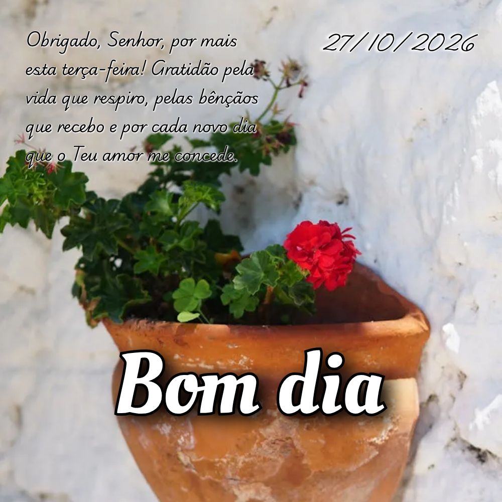 Obrigado, Senhor, por mais esta terça-feira! Gratidão pela vida que respiro, pelas bênçãos que recebo e por cada novo dia que o Teu amor me concede....