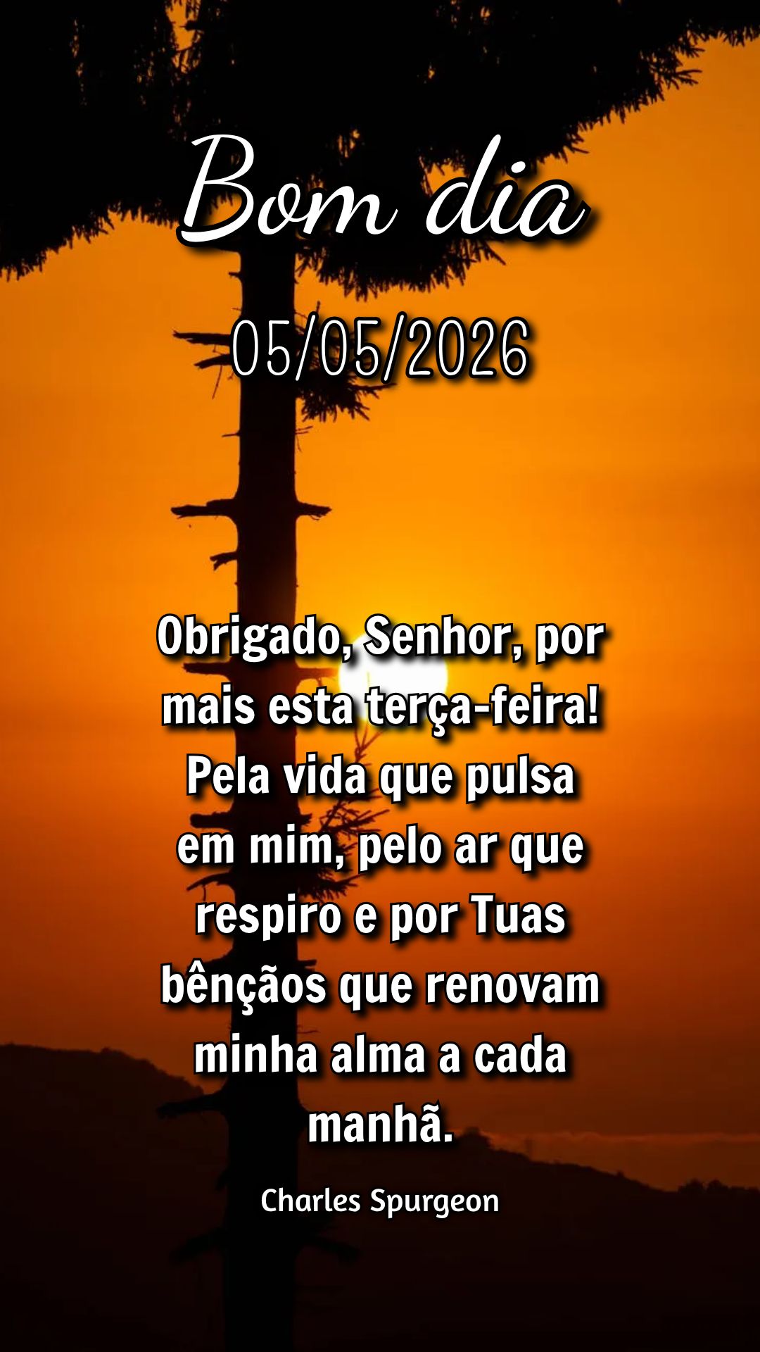 Obrigado, Senhor, por mais esta terça-feira! Pela vida que pulsa em mim, pelo ar que respiro e por Tuas bênçãos que renovam minha alma a cada manhã....