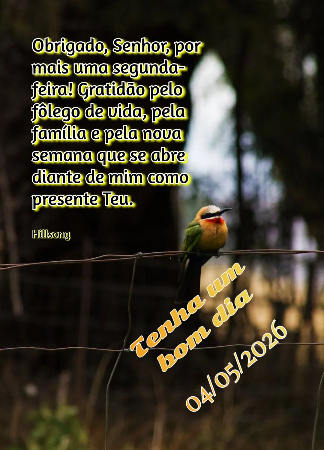 Obrigado, Senhor, por mais uma segunda-feira! Gratidão pelo fôlego de vida, pela família e pela nova semana que se abre diante de mim como presente Te...