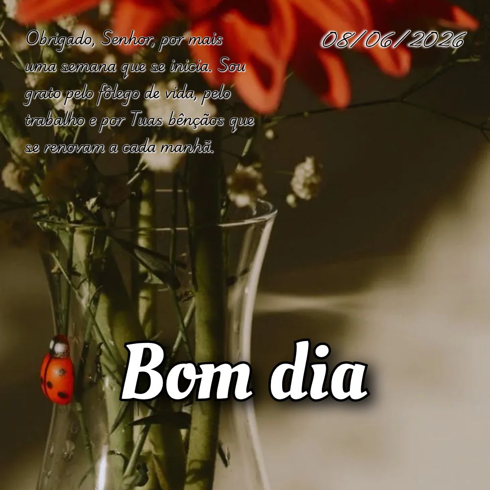 Obrigado, Senhor, por mais uma semana que se inicia. Sou grato pelo fôlego de vida, pelo trabalho e por Tuas bênçãos que se renovam a cada manhã.
