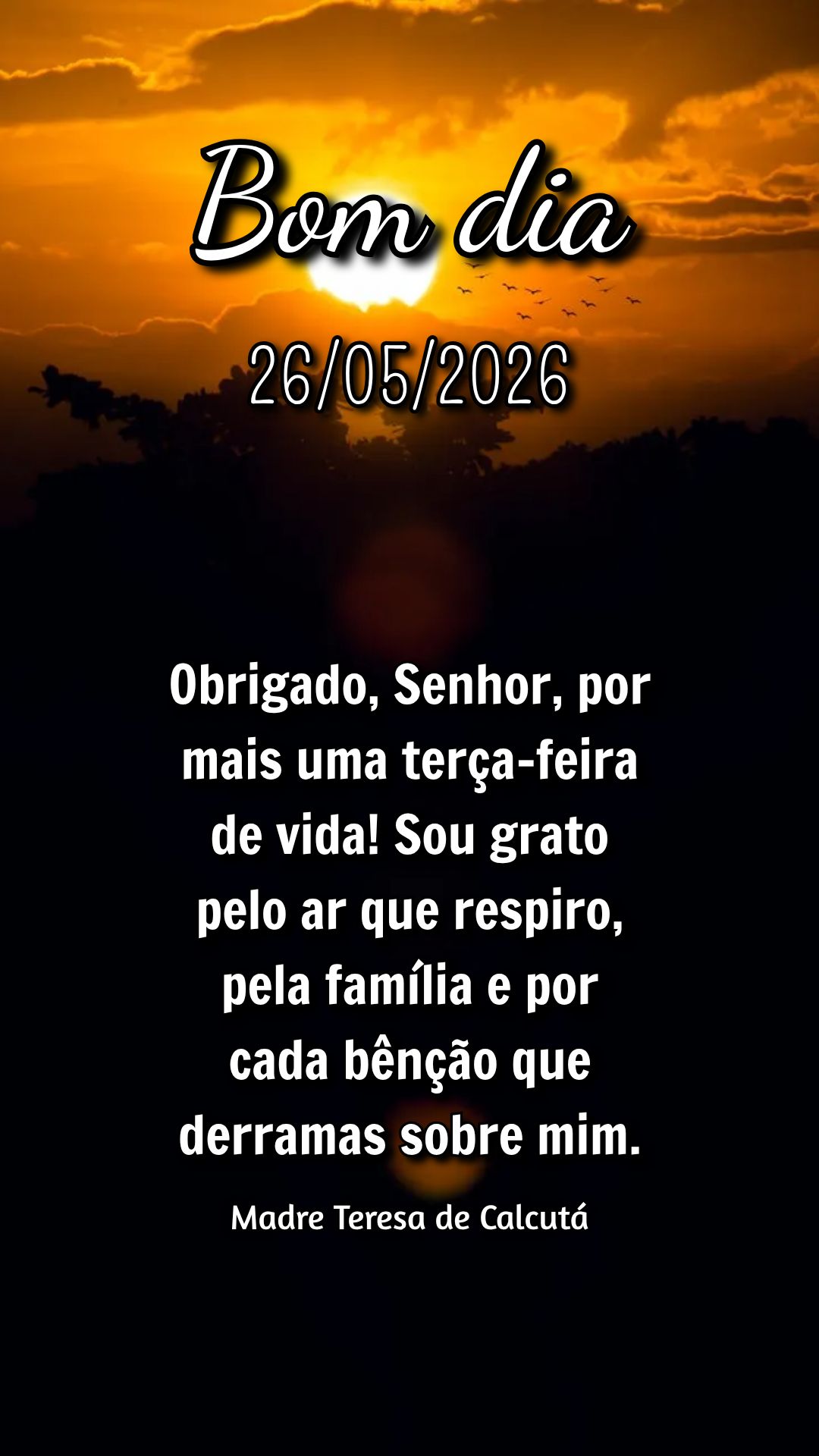 Obrigado, Senhor, por mais uma terça-feira de vida! Sou grato pelo ar que respiro, pela família e por cada bênção que derramas sobre mim. Madre Tere...