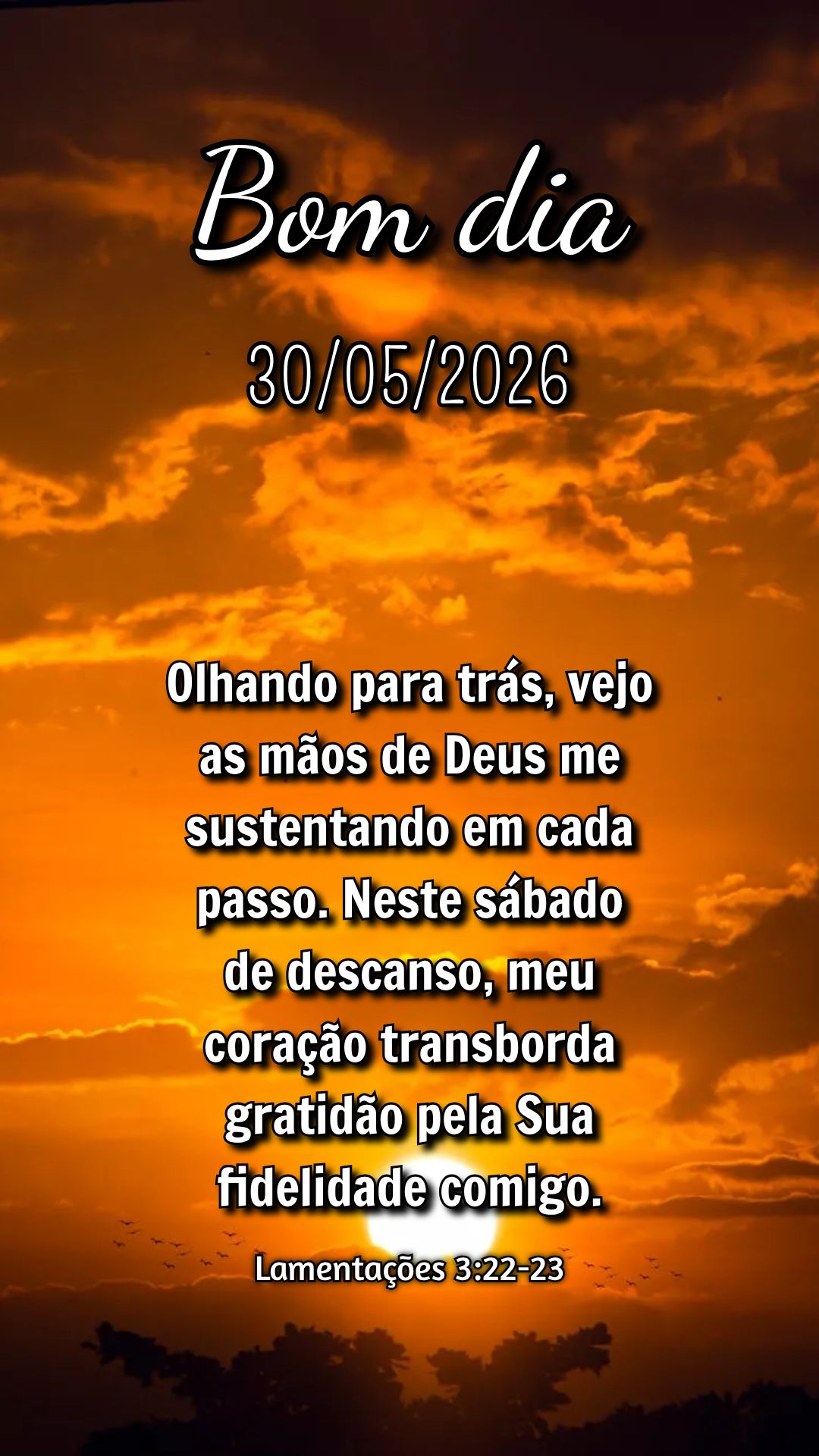 Olhando para trás, vejo as mãos de Deus me sustentando em cada passo. Neste sábado de descanso, meu coração transborda gratidão pela Sua fidelidade...