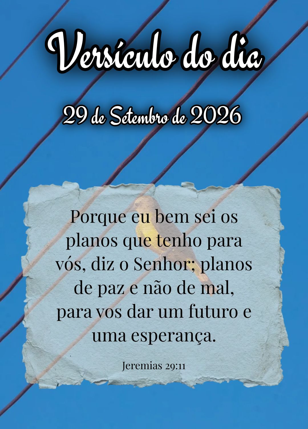 Porque eu bem sei os planos que tenho para vós, diz o Senhor; planos de paz e não de mal, para vos dar um futuro e uma esperança. Versículo do dia Je...