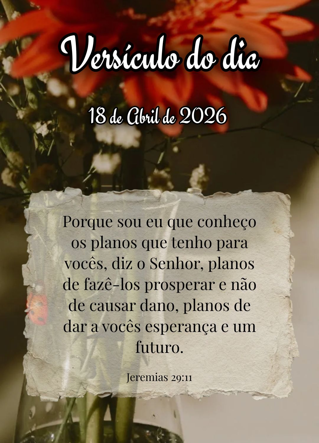 Porque sou eu que conheço os planos que tenho para vocês, diz o Senhor, planos de fazê-los prosperar e não de causar dano, planos de dar a vocês esp...