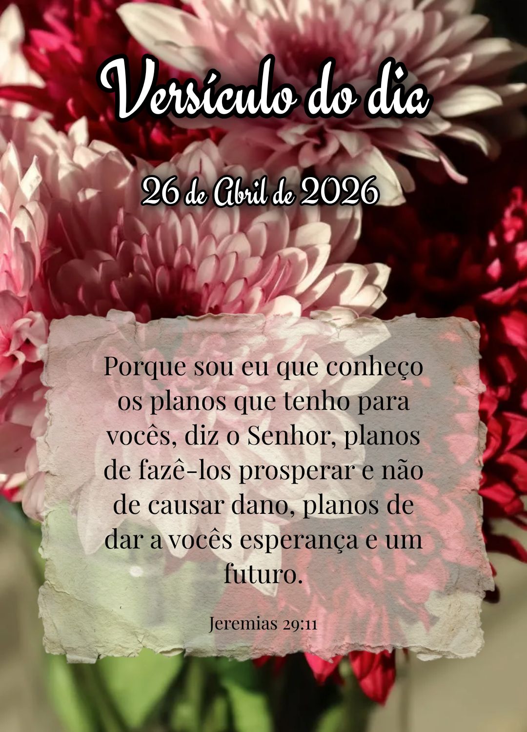 Porque sou eu que conheço os planos que tenho para vocês, diz o Senhor, planos de fazê-los prosperar e não de causar dano, planos de dar a vocês esp...