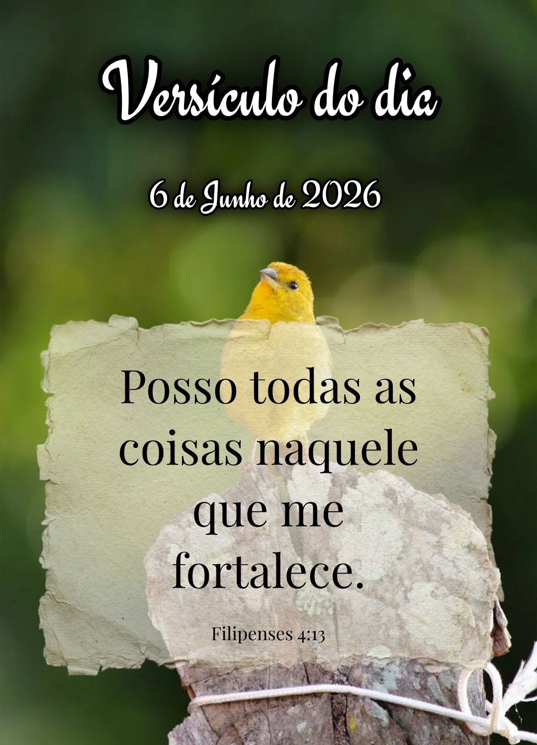 Posso todas as coisas naquele que me fortalece. Versículo do dia Filipenses 4:13