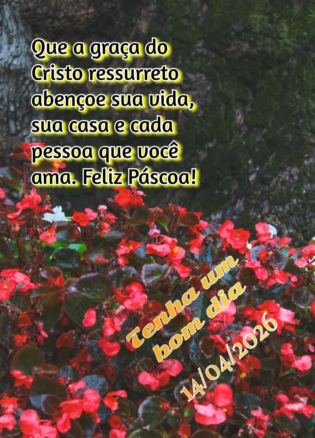 Que a graça do Cristo ressurreto abençoe sua vida, sua casa e cada pessoa que você ama. Feliz Páscoa! Tenha um bom dia