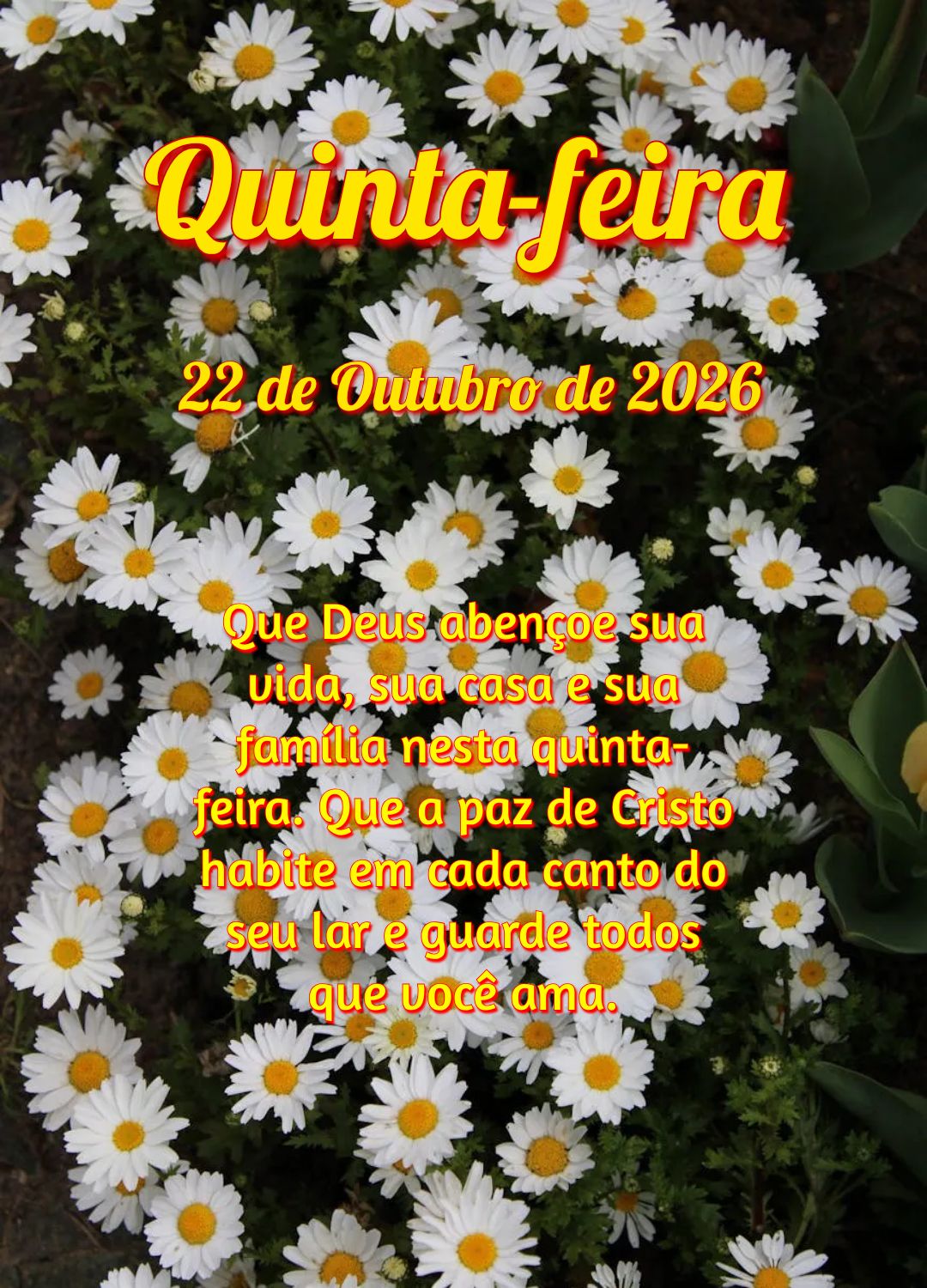 Que Deus abençoe sua vida, sua casa e sua família nesta quinta-feira. Que a paz de Cristo habite em cada canto do seu lar e guarde todos que você ama....
