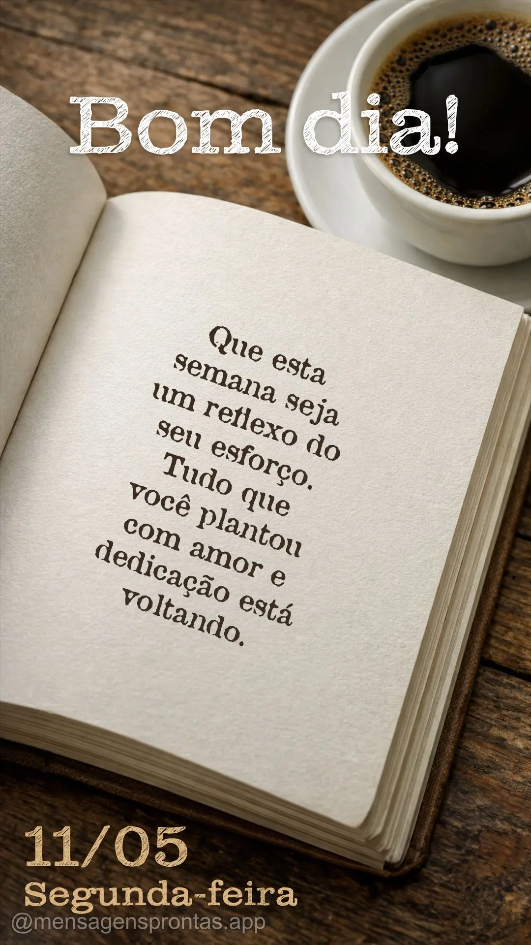 Que esta semana seja um reflexo do seu esforço. Tudo que você plantou com amor e dedicação está voltando. 11/05 Segunda-feira