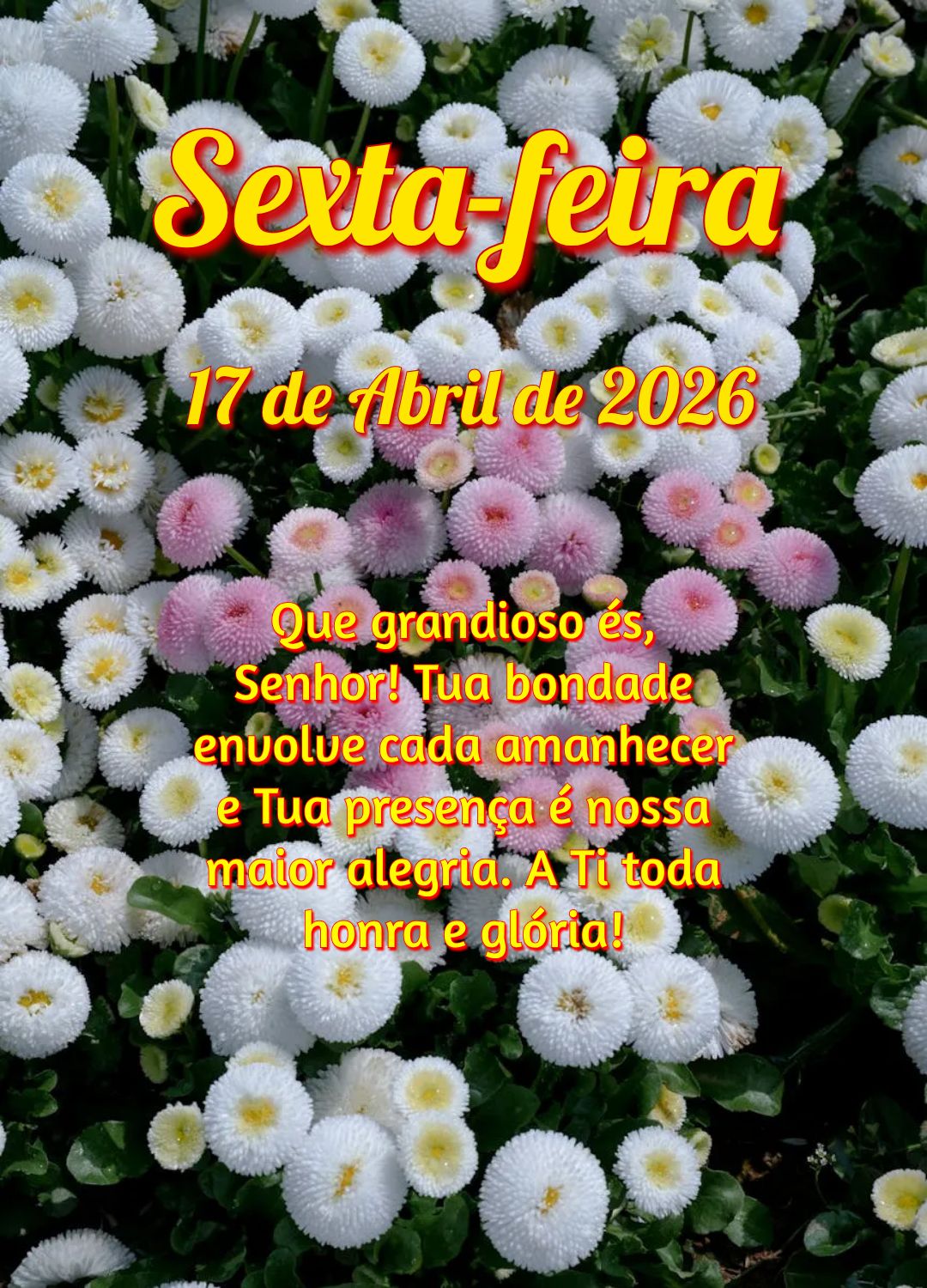 Que grandioso és, Senhor! Tua bondade envolve cada amanhecer e Tua presença é nossa maior alegria. A Ti toda honra e glória!