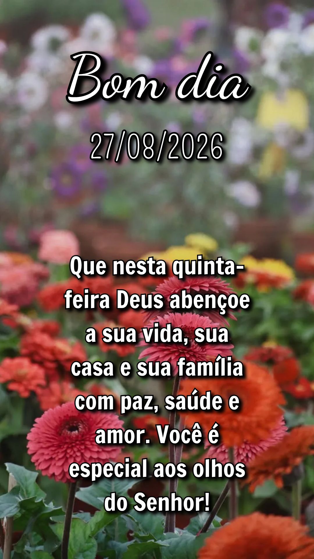 Que nesta quinta-feira Deus abençoe a sua vida, sua casa e sua família com paz, saúde e amor. Você é especial aos olhos do Senhor!