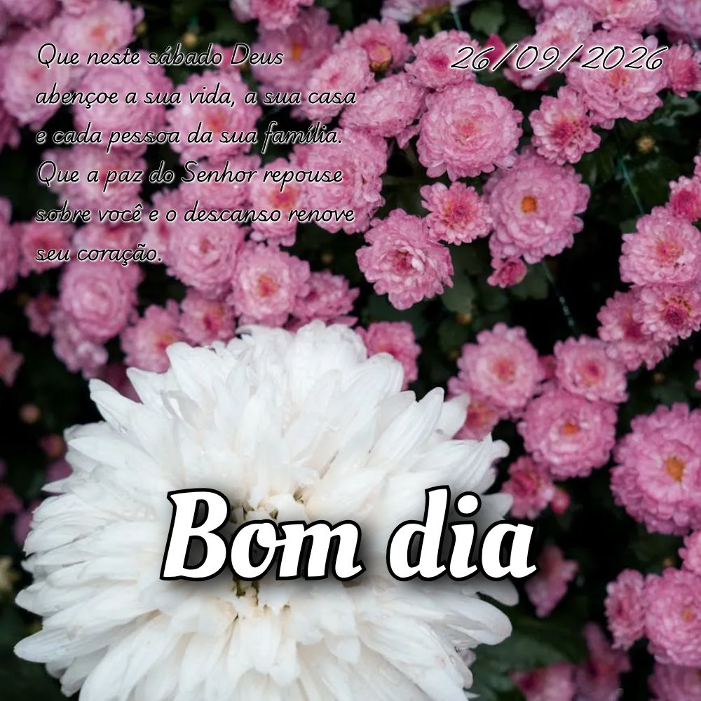 Que neste sábado Deus abençoe a sua vida, a sua casa e cada pessoa da sua família. Que a paz do Senhor repouse sobre você e o descanso renove seu cor...
