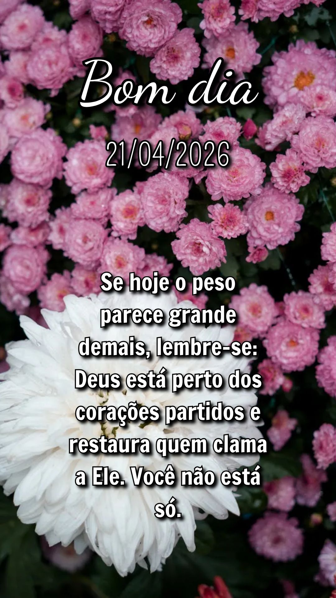 Se hoje o peso parece grande demais, lembre-se: Deus está perto dos corações partidos e restaura quem clama a Ele. Você não está só.