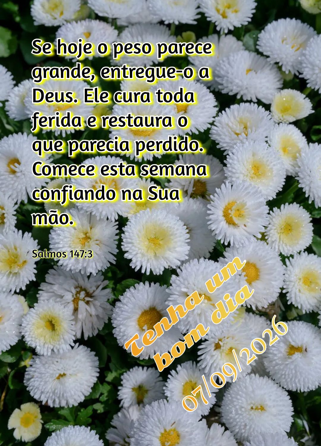 Se hoje o peso parece grande, entregue-o a Deus. Ele cura toda ferida e restaura o que parecia perdido. Comece esta semana confiando na Sua mão. Tenha u...