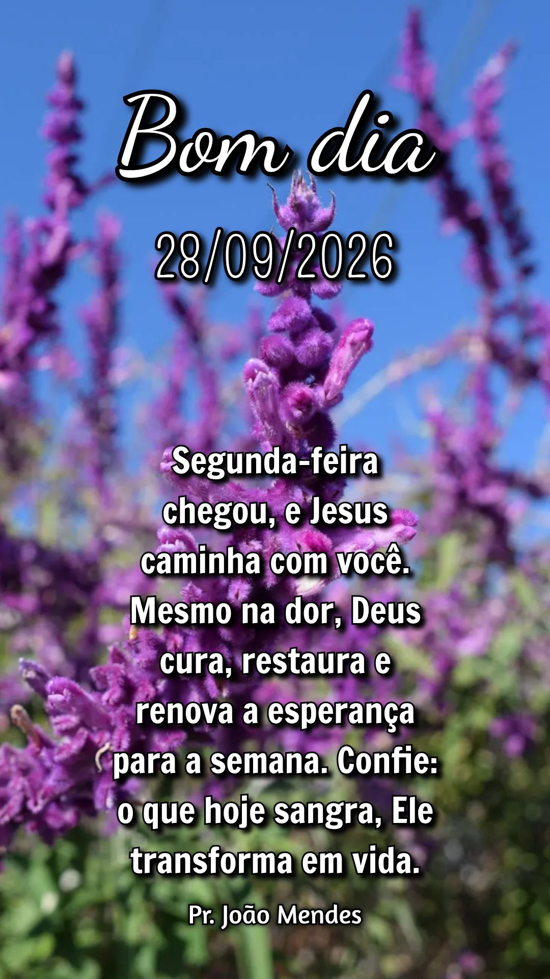 Segunda-feira chegou, e Jesus caminha com você. Mesmo na dor, Deus cura, restaura e renova a esperança para a semana. Confie: o que hoje sangra, Ele tr...