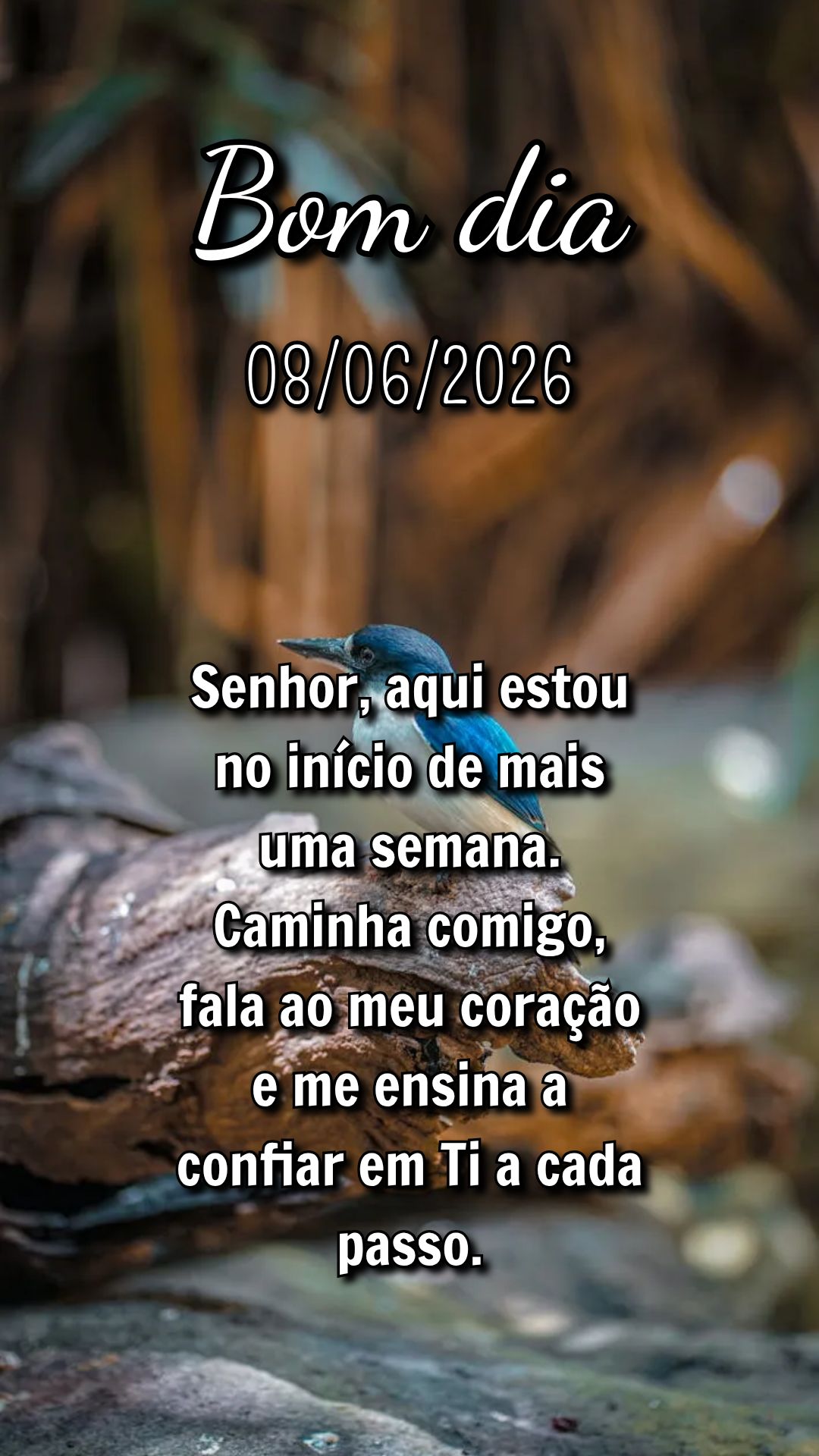 Senhor, aqui estou no início de mais uma semana. Caminha comigo, fala ao meu coração e me ensina a confiar em Ti a cada passo.