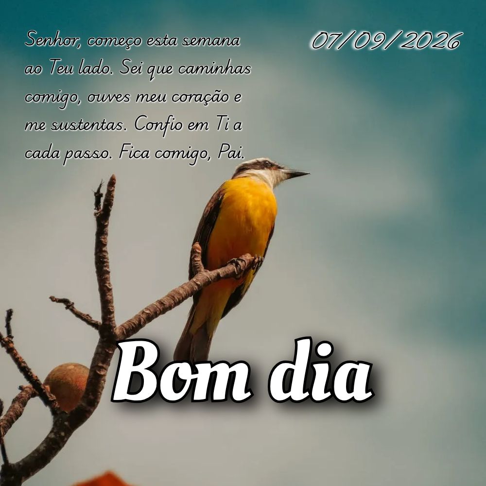 Senhor, começo esta semana ao Teu lado. Sei que caminhas comigo, ouves meu coração e me sustentas. Confio em Ti a cada passo. Fica comigo, Pai.