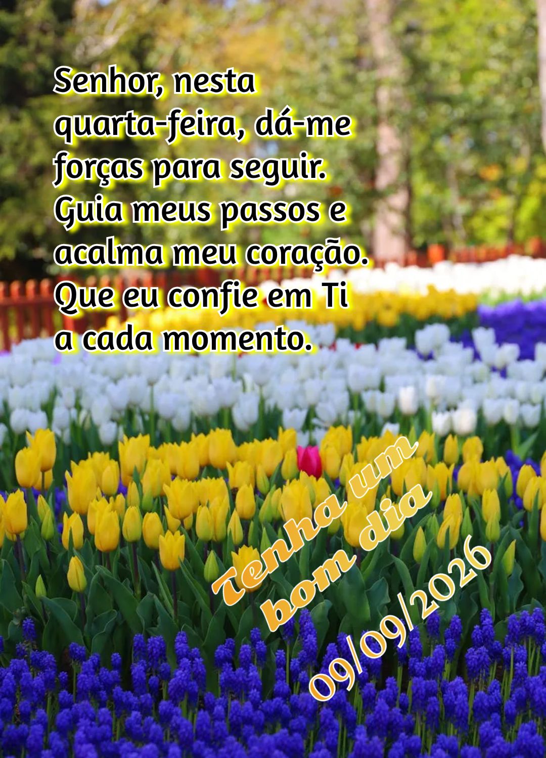 Senhor, nesta quarta-feira, dá-me forças para seguir. Guia meus passos e acalma meu coração. Que eu confie em Ti a cada momento. Tenha um bom dia