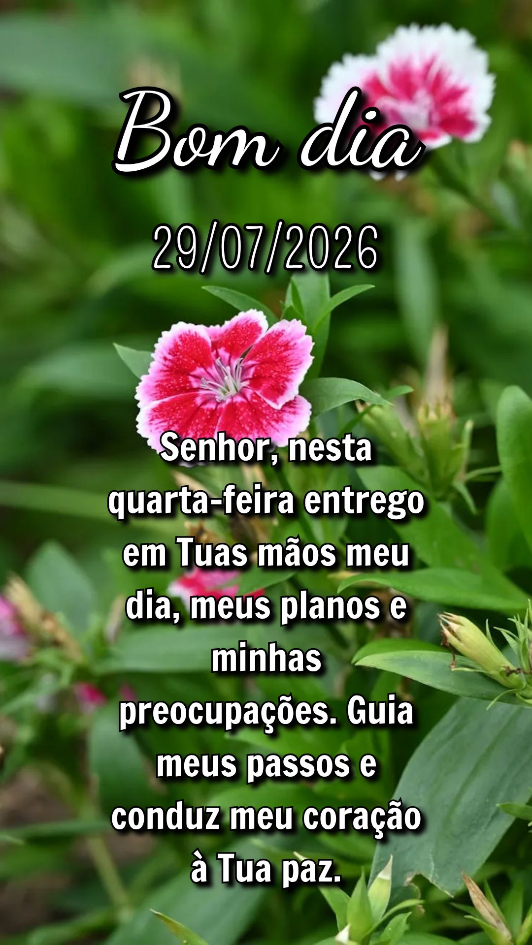 Senhor, nesta quarta-feira entrego em Tuas mãos meu dia, meus planos e minhas preocupações. Guia meus passos e conduz meu coração à Tua paz.
