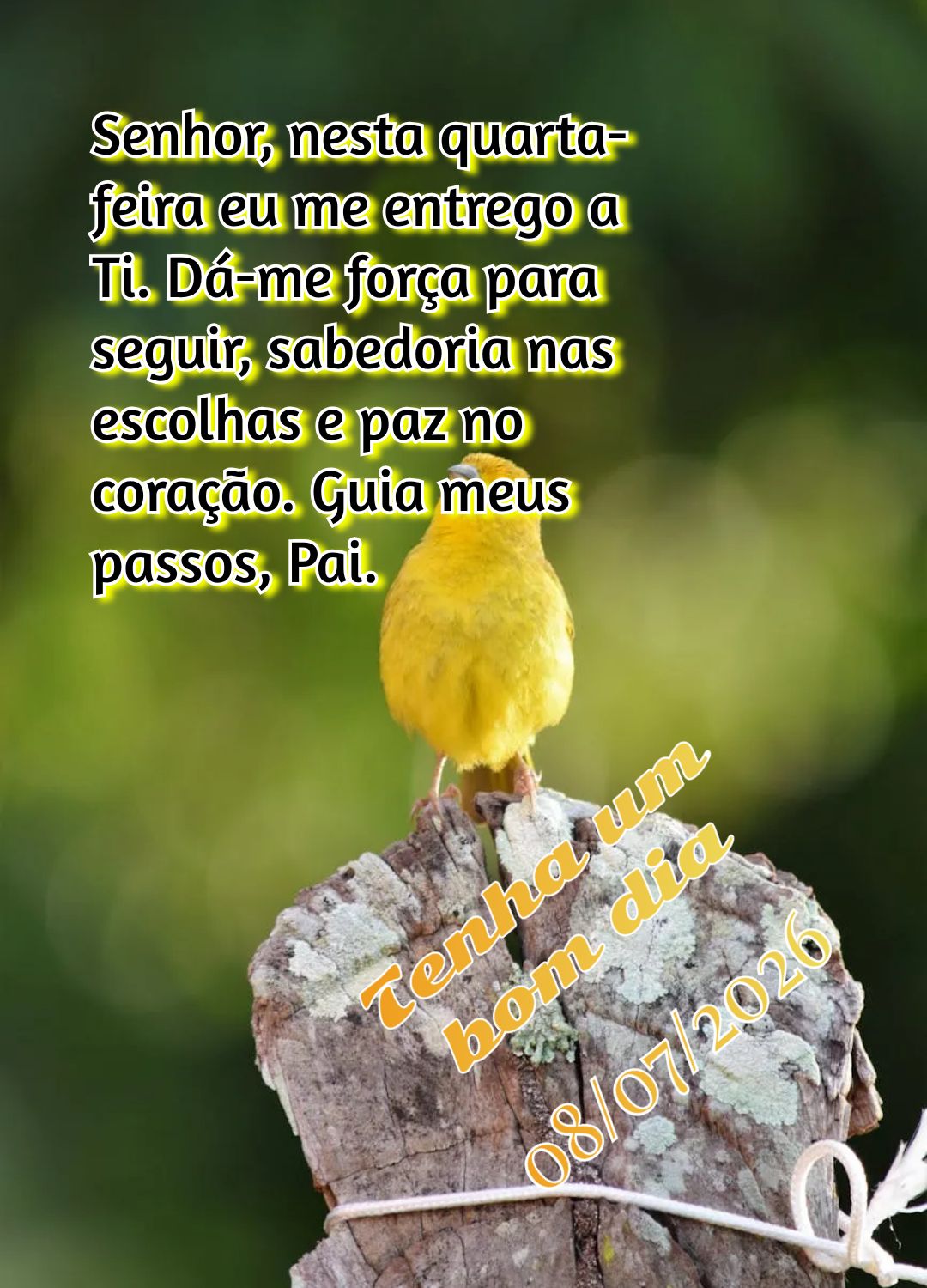 Senhor, nesta quarta-feira eu me entrego a Ti. Dá-me força para seguir, sabedoria nas escolhas e paz no coração. Guia meus passos, Pai. Tenha um bom ...