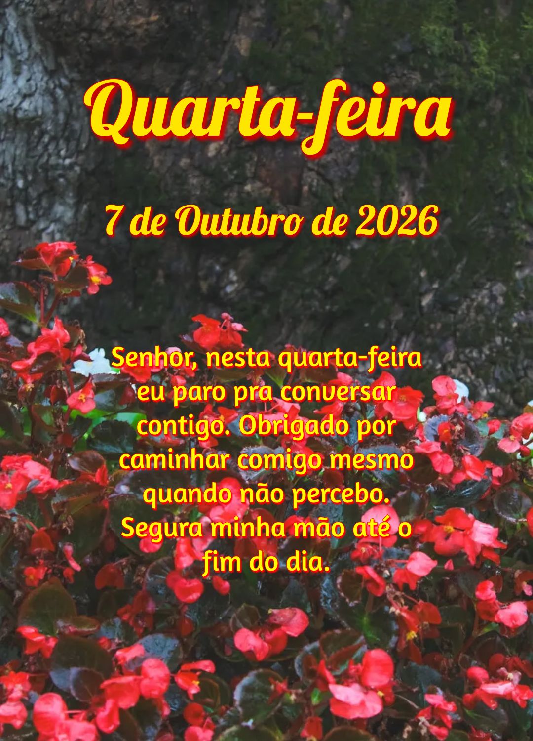 Senhor, nesta quarta-feira eu paro pra conversar contigo. Obrigado por caminhar comigo mesmo quando não percebo. Segura minha mão até o fim do dia.