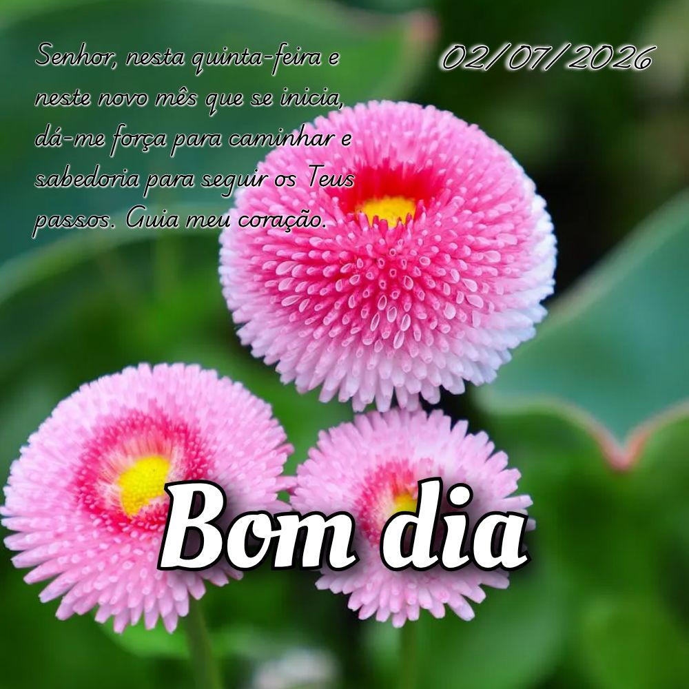 Senhor, nesta quinta-feira e neste novo mês que se inicia, dá-me força para caminhar e sabedoria para seguir os Teus passos. Guia meu coração.