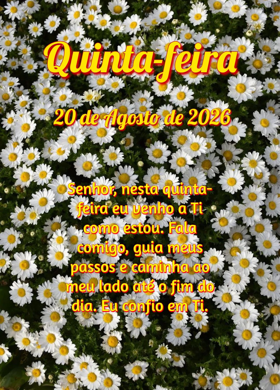 Senhor, nesta quinta-feira eu venho a Ti como estou. Fala comigo, guia meus passos e caminha ao meu lado até o fim do dia. Eu confio em Ti.