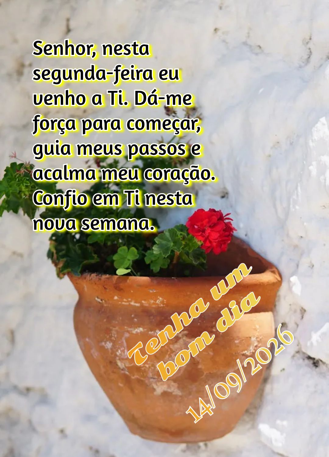 Senhor, nesta segunda-feira eu venho a Ti. Dá-me força para começar, guia meus passos e acalma meu coração. Confio em Ti nesta nova semana. Tenha um...