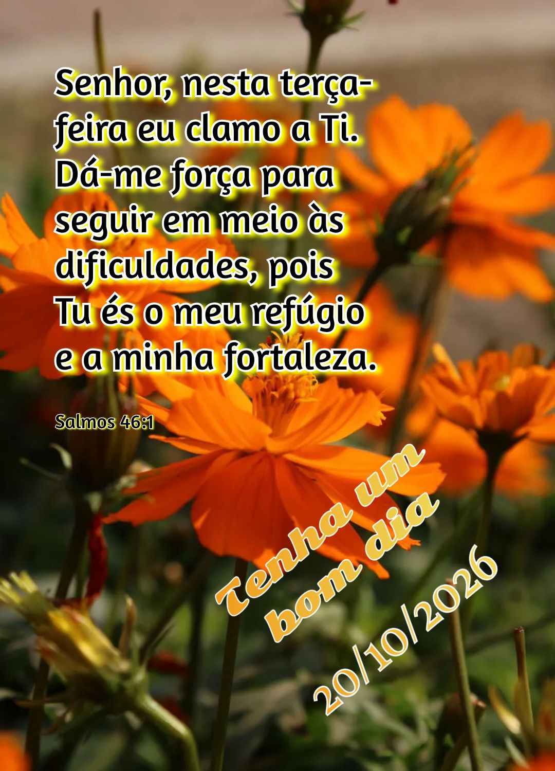 Senhor, nesta terça-feira eu clamo a Ti. Dá-me força para seguir em meio às dificuldades, pois Tu és o meu refúgio e a minha fortaleza. Tenha um bo...