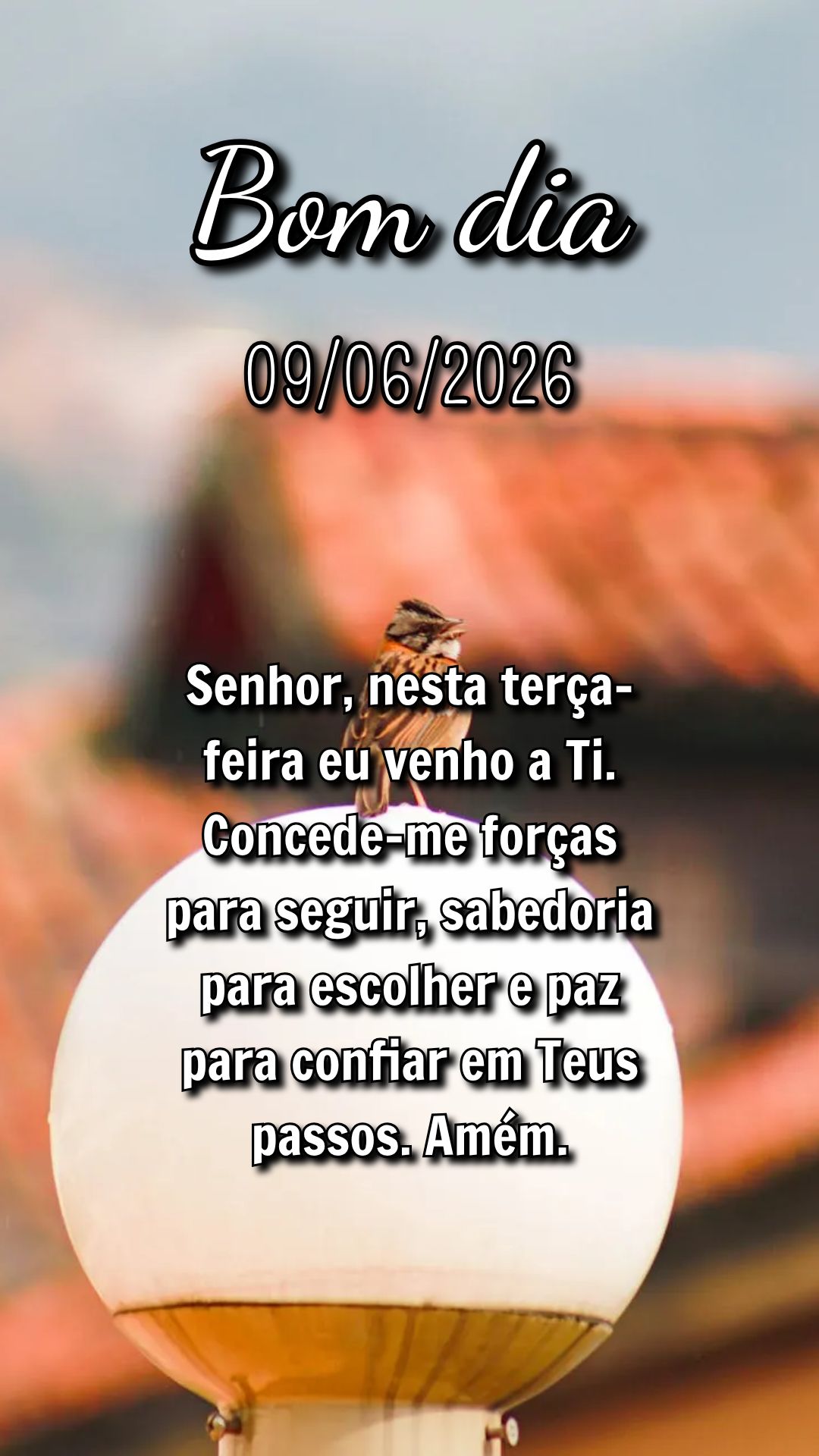 Senhor, nesta terça-feira eu venho a Ti. Concede-me forças para seguir, sabedoria para escolher e paz para confiar em Teus passos. Amém.