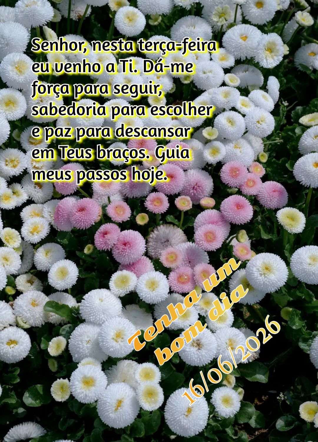 Senhor, nesta terça-feira eu venho a Ti. Dá-me força para seguir, sabedoria para escolher e paz para descansar em Teus braços. Guia meus passos hoje....
