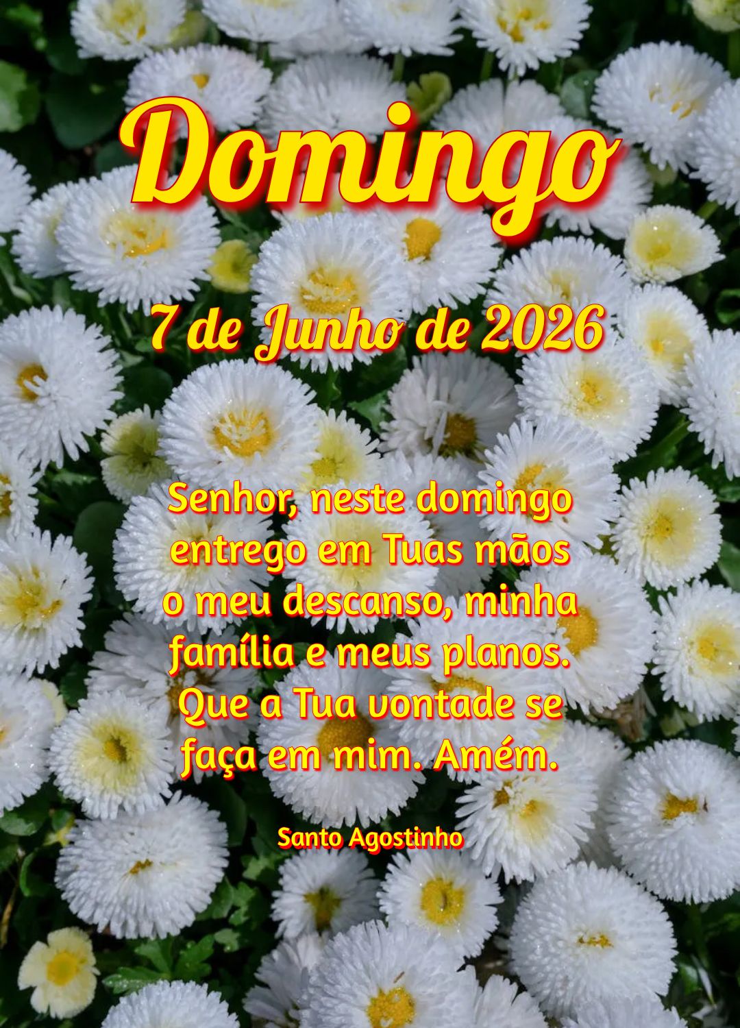 Senhor, neste domingo entrego em Tuas mãos o meu descanso, minha família e meus planos. Que a Tua vontade se faça em mim. Amém. Santo Agostinho