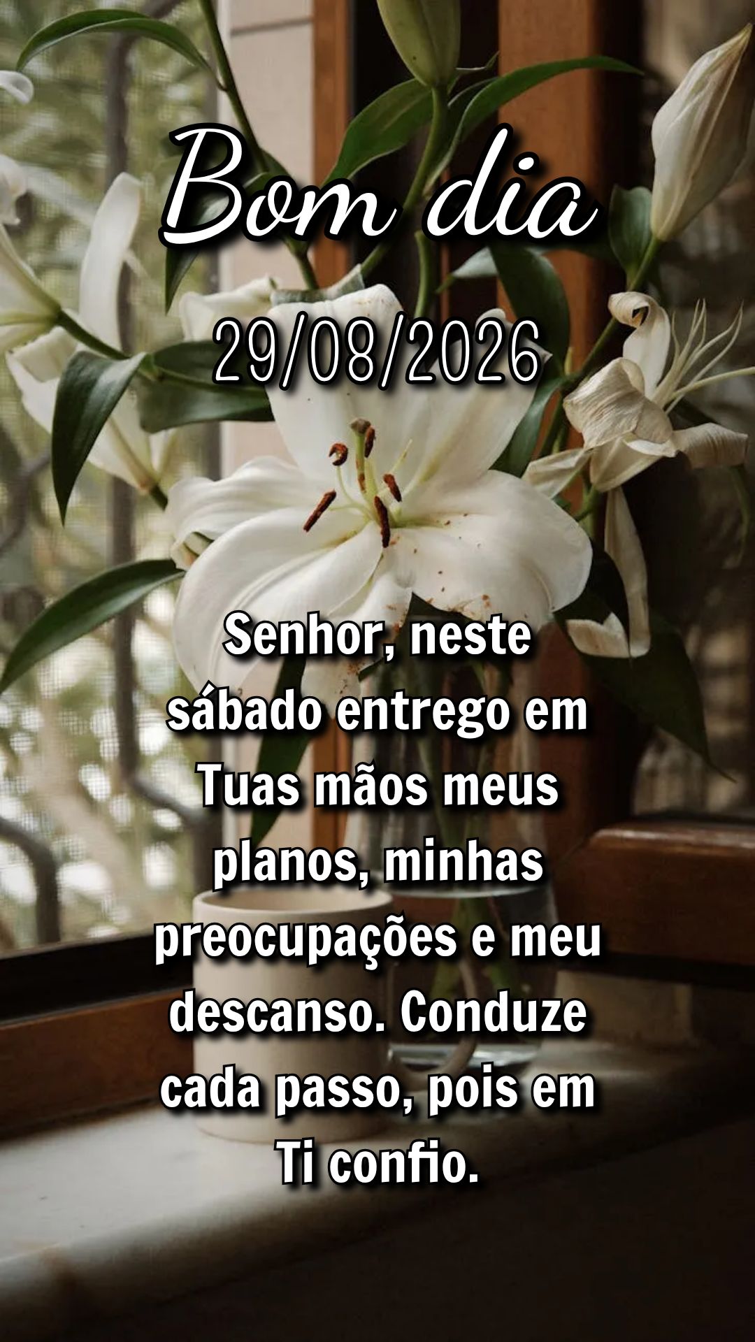 Senhor, neste sábado entrego em Tuas mãos meus planos, minhas preocupações e meu descanso. Conduze cada passo, pois em Ti confio.