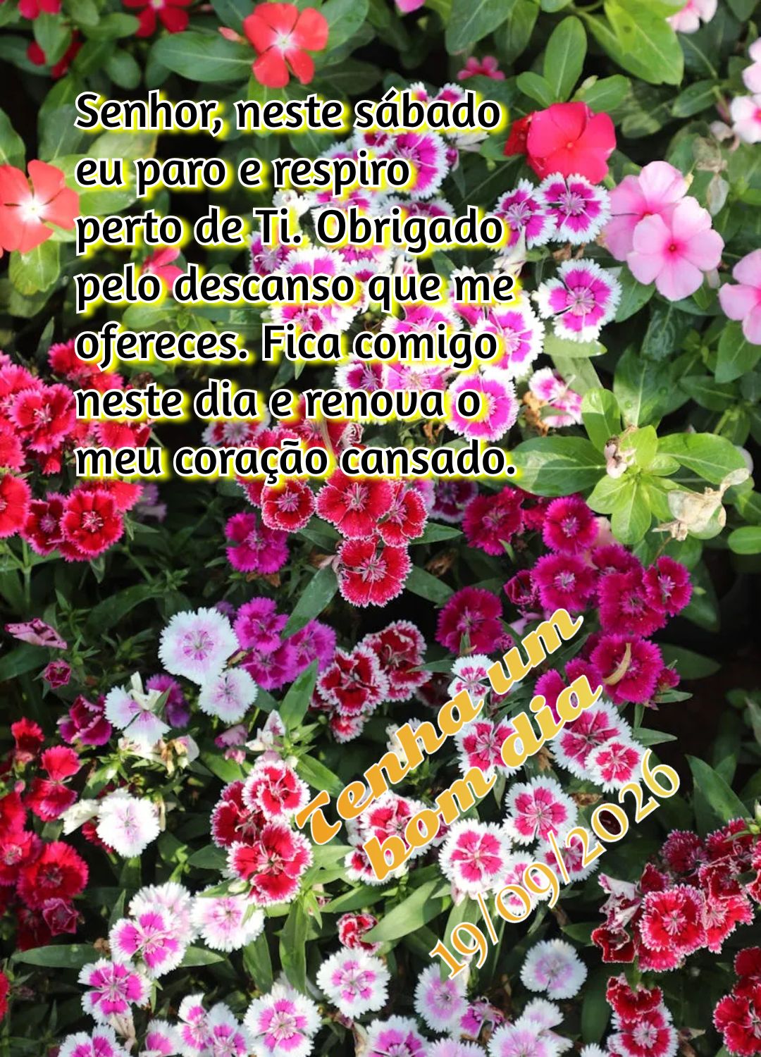 Senhor, neste sábado eu paro e respiro perto de Ti. Obrigado pelo descanso que me ofereces. Fica comigo neste dia e renova o meu coração cansado. Tenh...