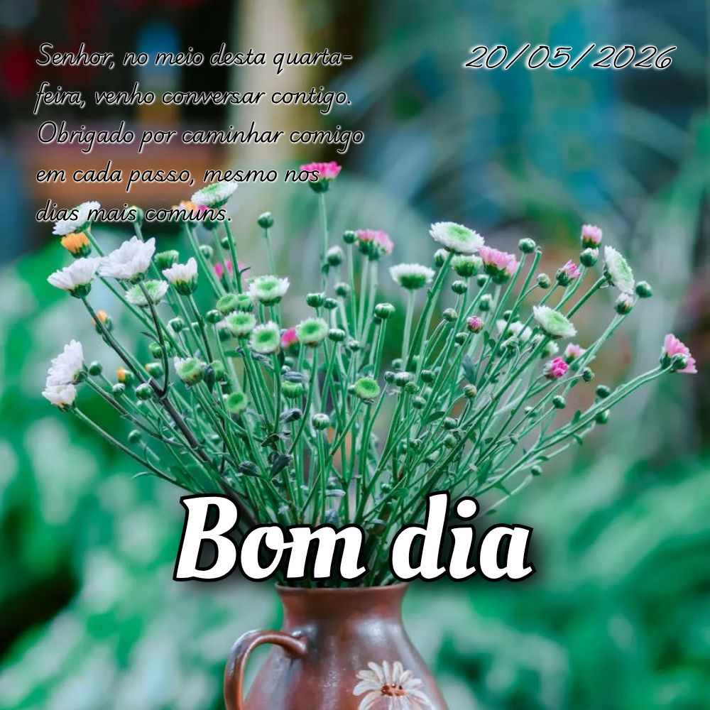 Senhor, no meio desta quarta-feira, venho conversar contigo. Obrigado por caminhar comigo em cada passo, mesmo nos dias mais comuns.