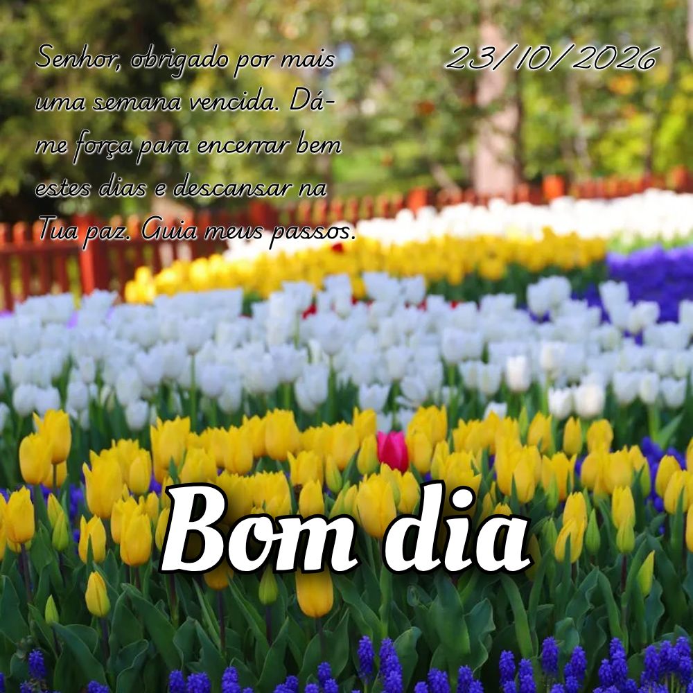 Senhor, obrigado por mais uma semana vencida. Dá-me força para encerrar bem estes dias e descansar na Tua paz. Guia meus passos.