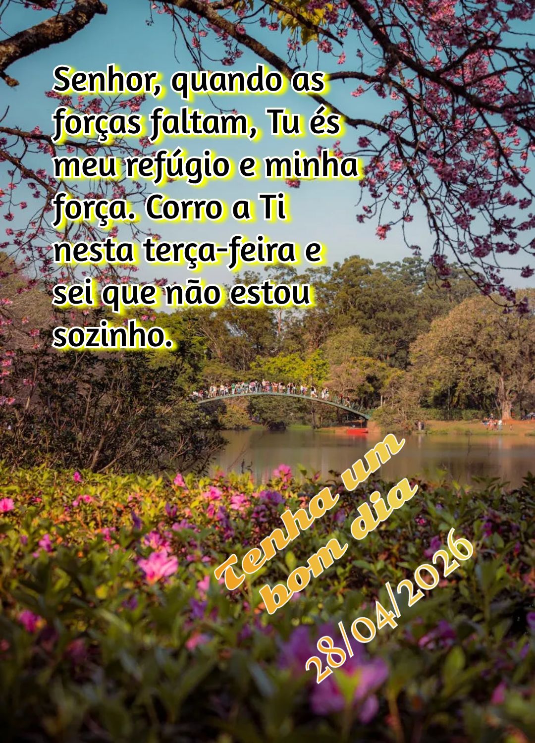 Senhor, quando as forças faltam, Tu és meu refúgio e minha força. Corro a Ti nesta terça-feira e sei que não estou sozinho. Tenha um bom dia