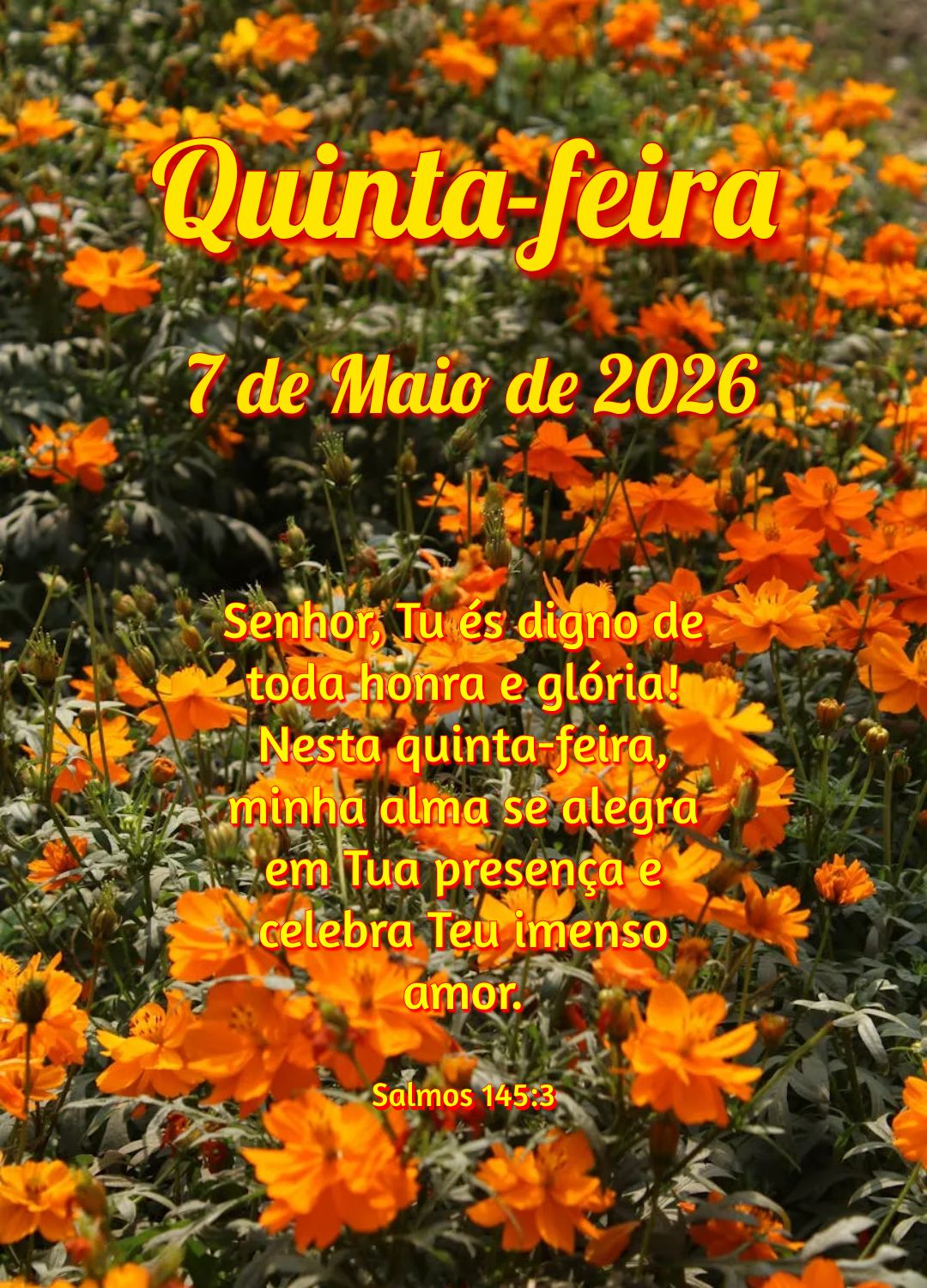Senhor, Tu és digno de toda honra e glória! Nesta quinta-feira, minha alma se alegra em Tua presença e celebra Teu imenso amor. Salmos 145:3