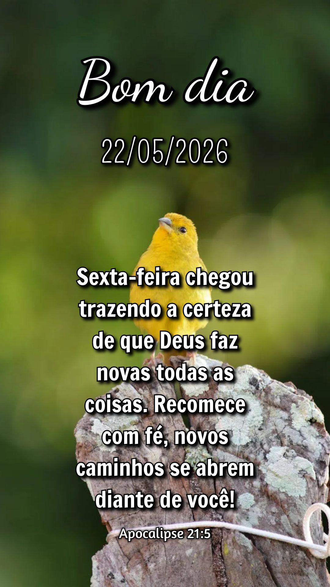 Sexta-feira chegou trazendo a certeza de que Deus faz novas todas as coisas. Recomece com fé, novos caminhos se abrem diante de você! Apocalipse 21:5...