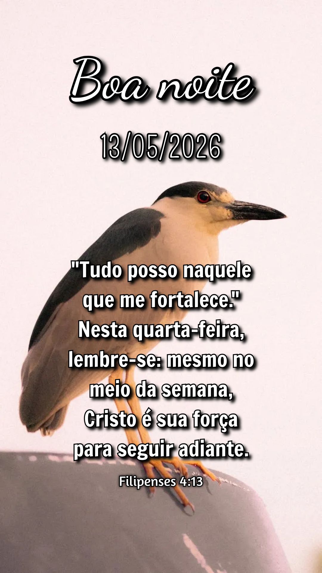 "Tudo posso naquele que me fortalece." Nesta quarta-feira, lembre-se: mesmo no meio da semana, Cristo é sua força para seguir adiante. Filipenses 4:13...