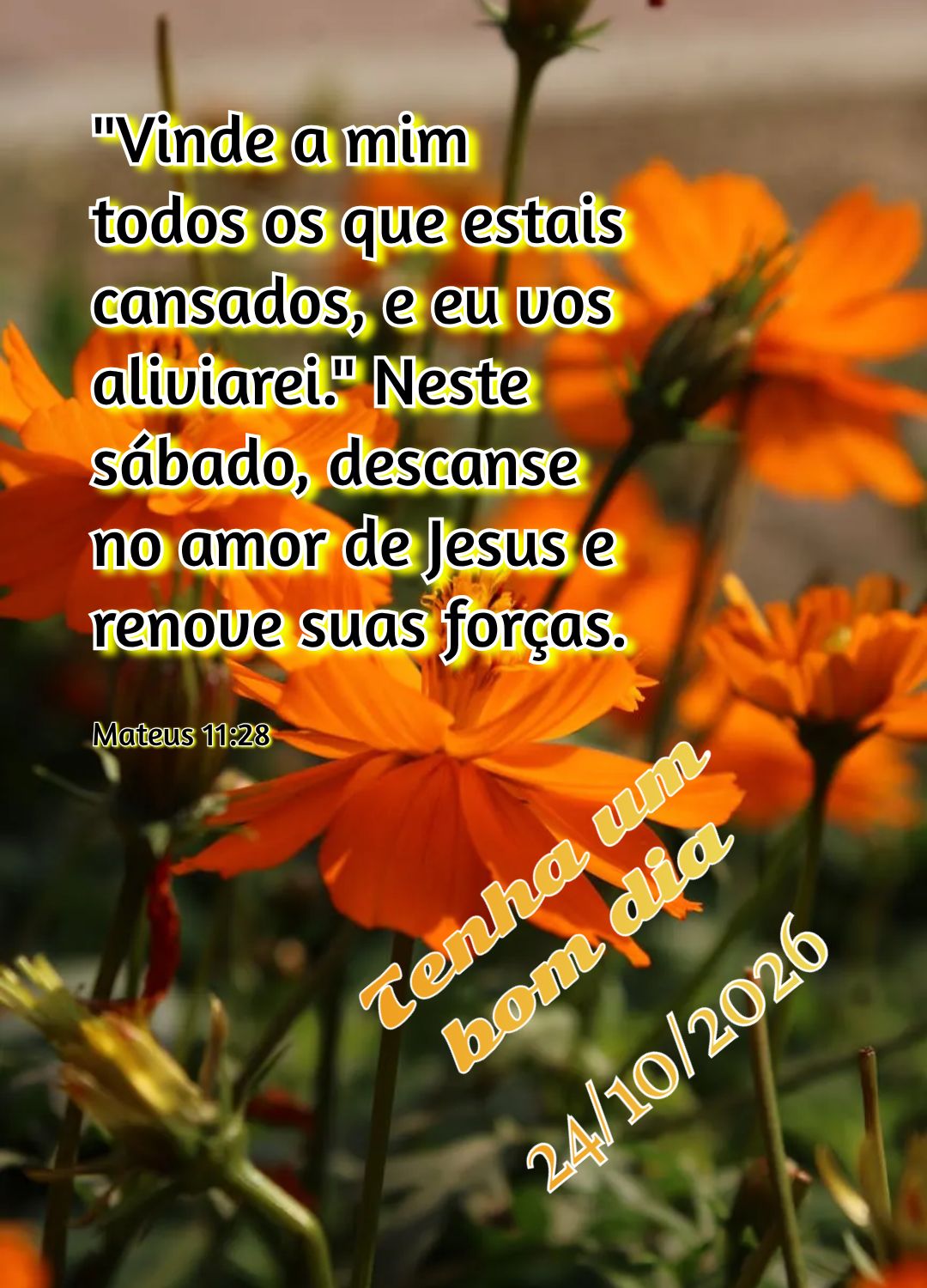 "Vinde a mim todos os que estais cansados, e eu vos aliviarei." Neste sábado, descanse no amor de Jesus e renove suas forças. Tenha um bom dia Mateus 1...