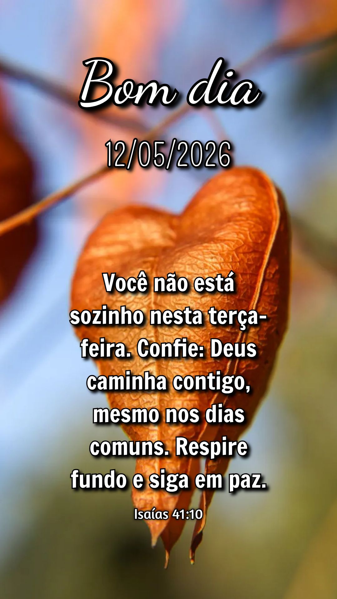 Você não está sozinho nesta terça-feira. Confie: Deus caminha contigo, mesmo nos dias comuns. Respire fundo e siga em paz. Isaías 41:10
