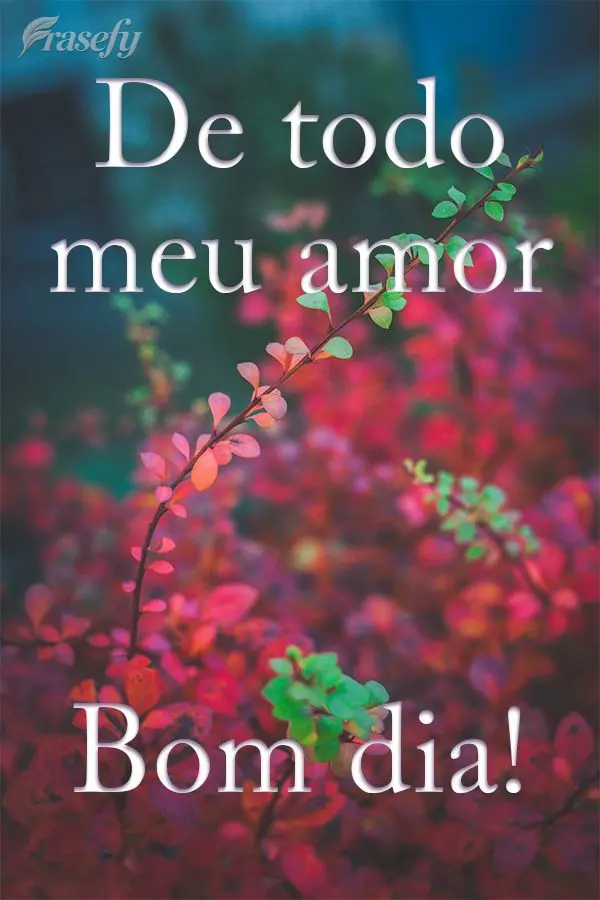 De todo meu amor Bom dia!