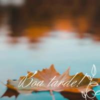 Deixe que as bênçãos reine em sua tarde pois Deus está cuidando para que você se mantenha em paz! Boa tarde!