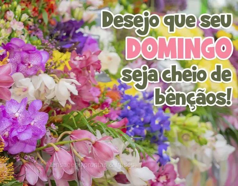 Desejo que seu Domingo seja cheio de bênçãos! 
